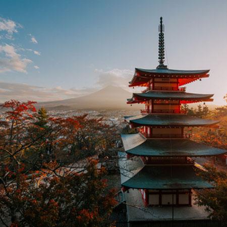 Tour Giappone in Autunno: Templi, Città e Festival Lanterne