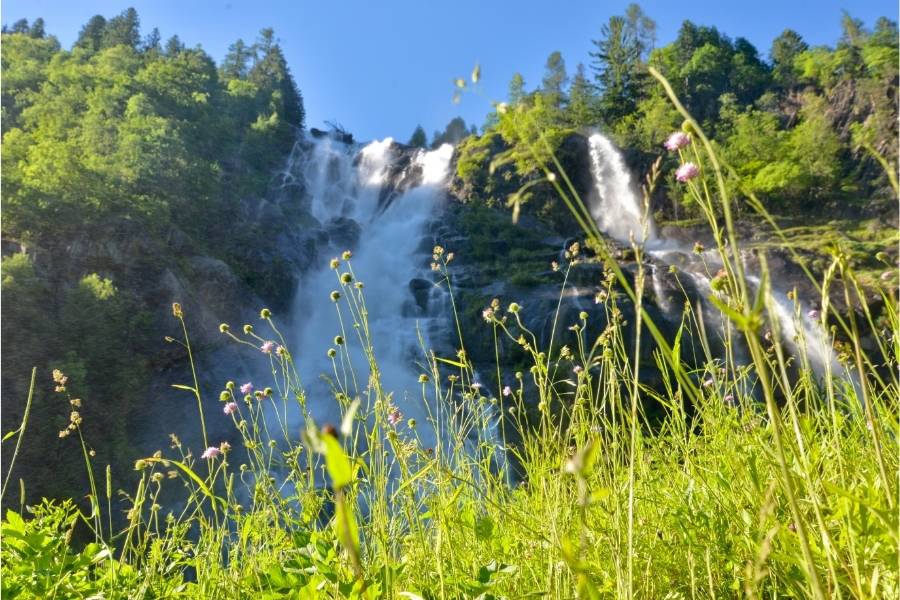 La montagna estiva: settimana verde a Pinzolo 12