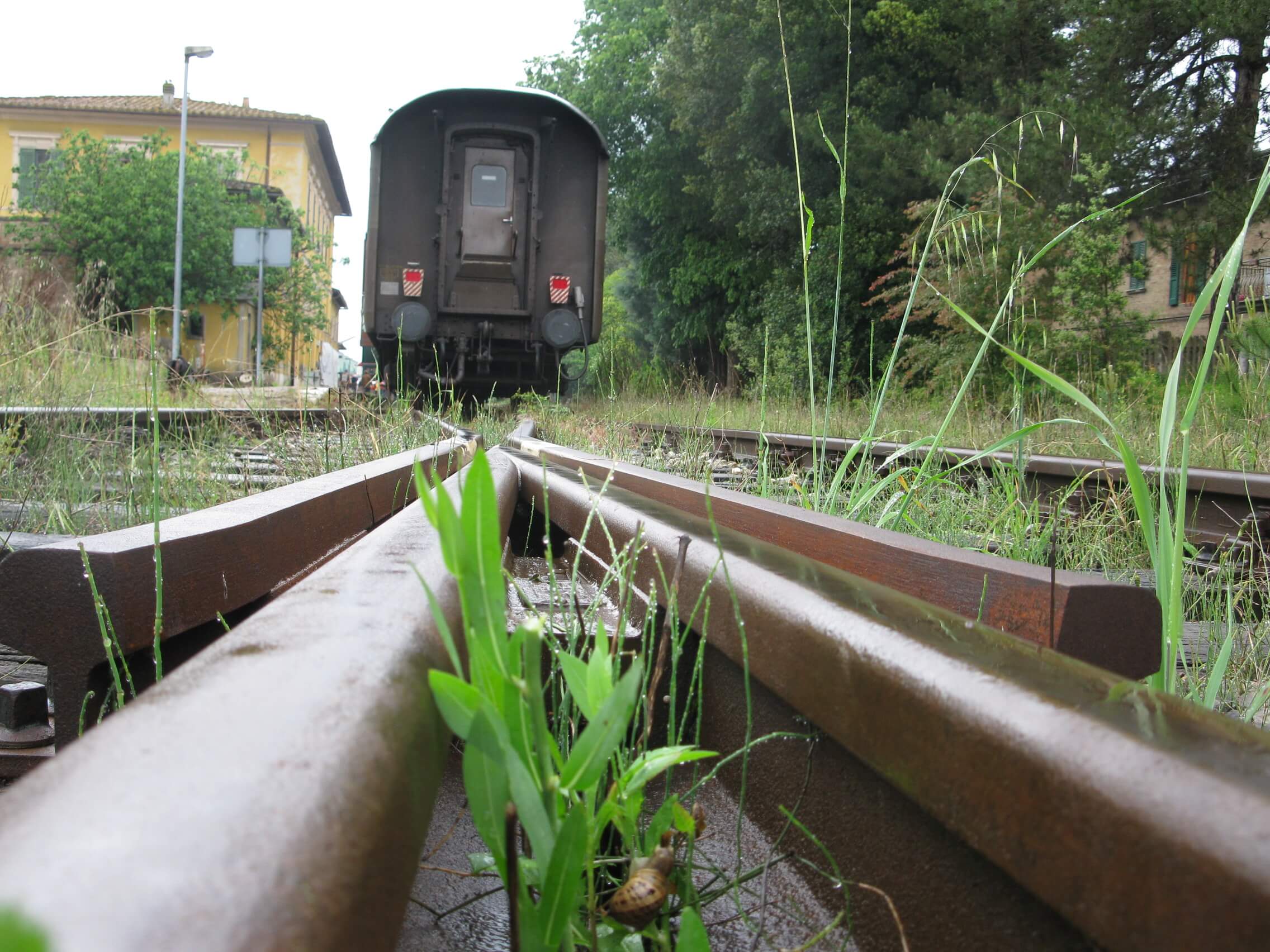Ciuff Ciuff Natura 6