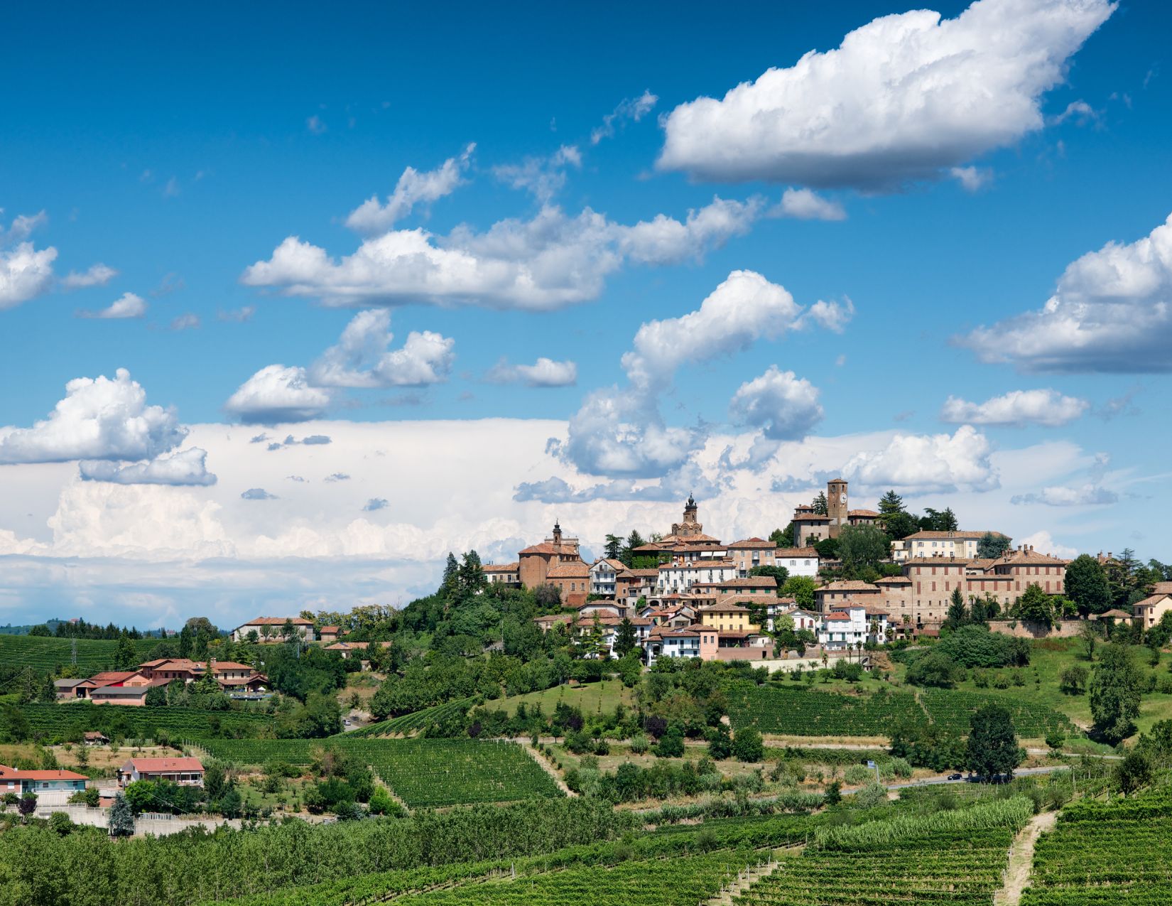 Foliage delle Langhe: Tour dei colori autunnali 6