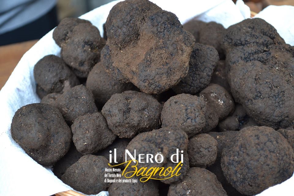 Sagra della Castagna, del Tartufo Nero e del Fungo Porcino 3