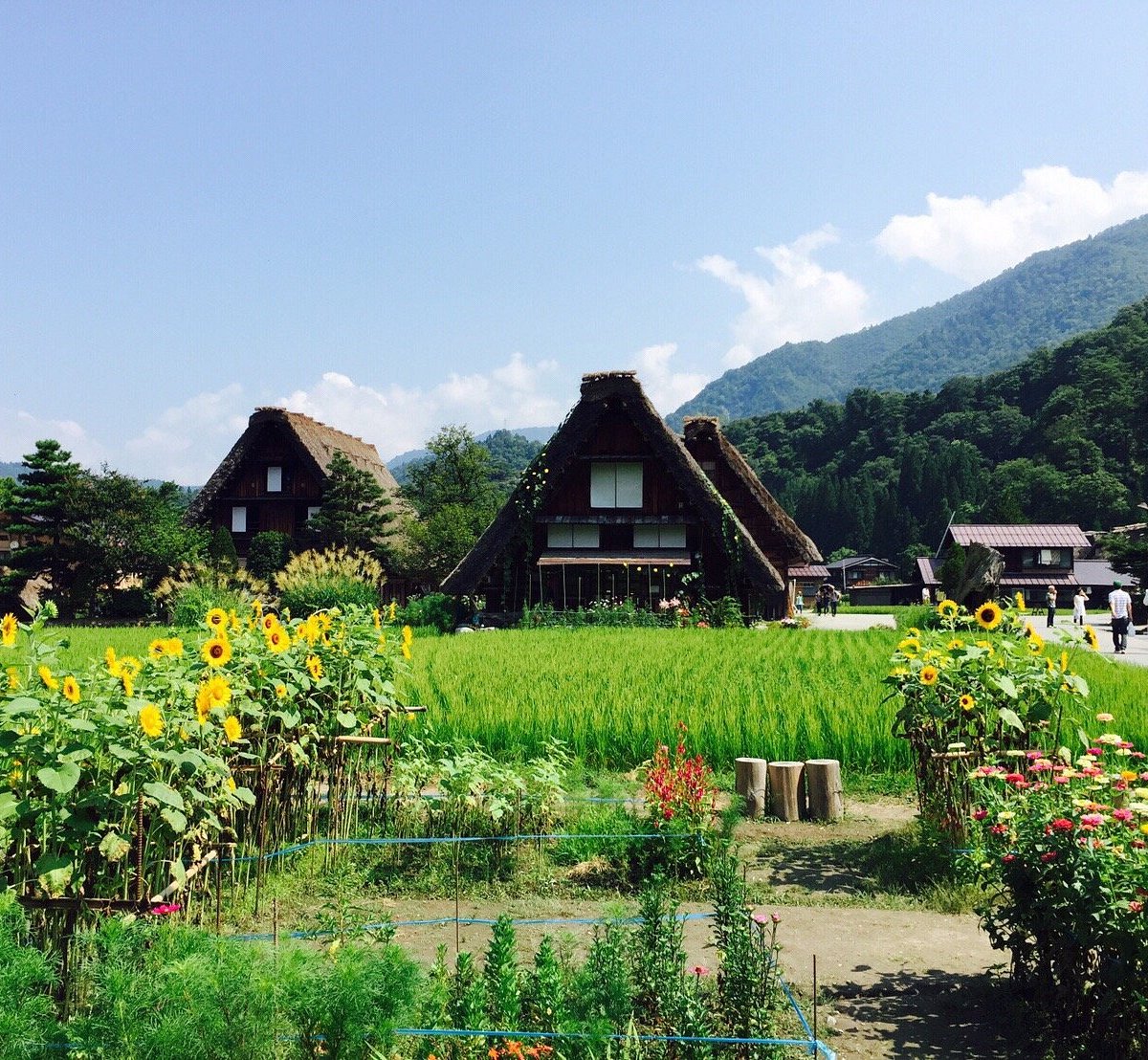 Shirakawago / Takayama / Mino - Festival delle Lanterne