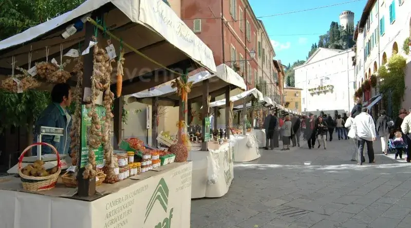 Dai murales ai mosaici, un viaggio nel tempo dell'arte musiva: Dozza, Ravenna e Brisighella 12