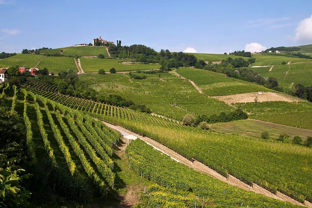 Foliage delle Langhe: Tour dei colori autunnali 5