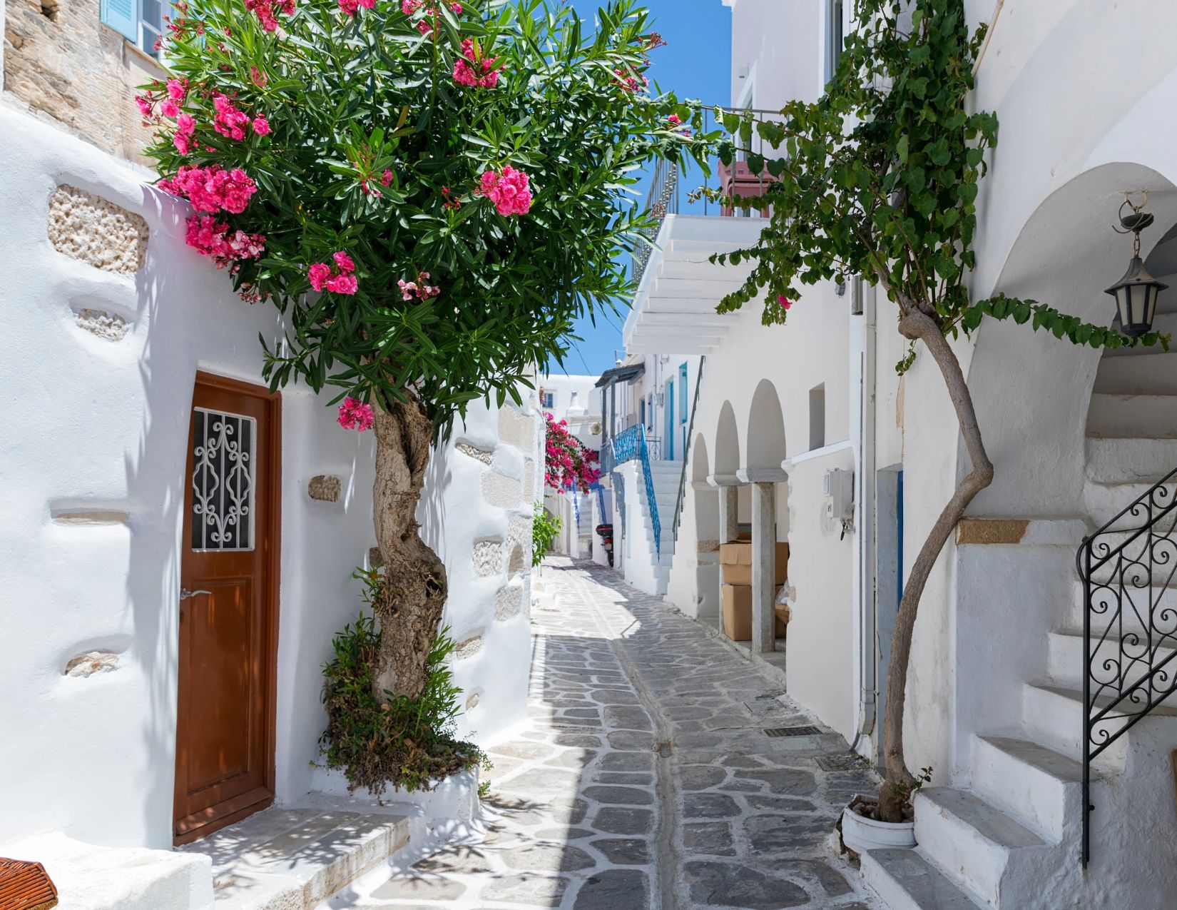 Escursione Mykonos & Delos