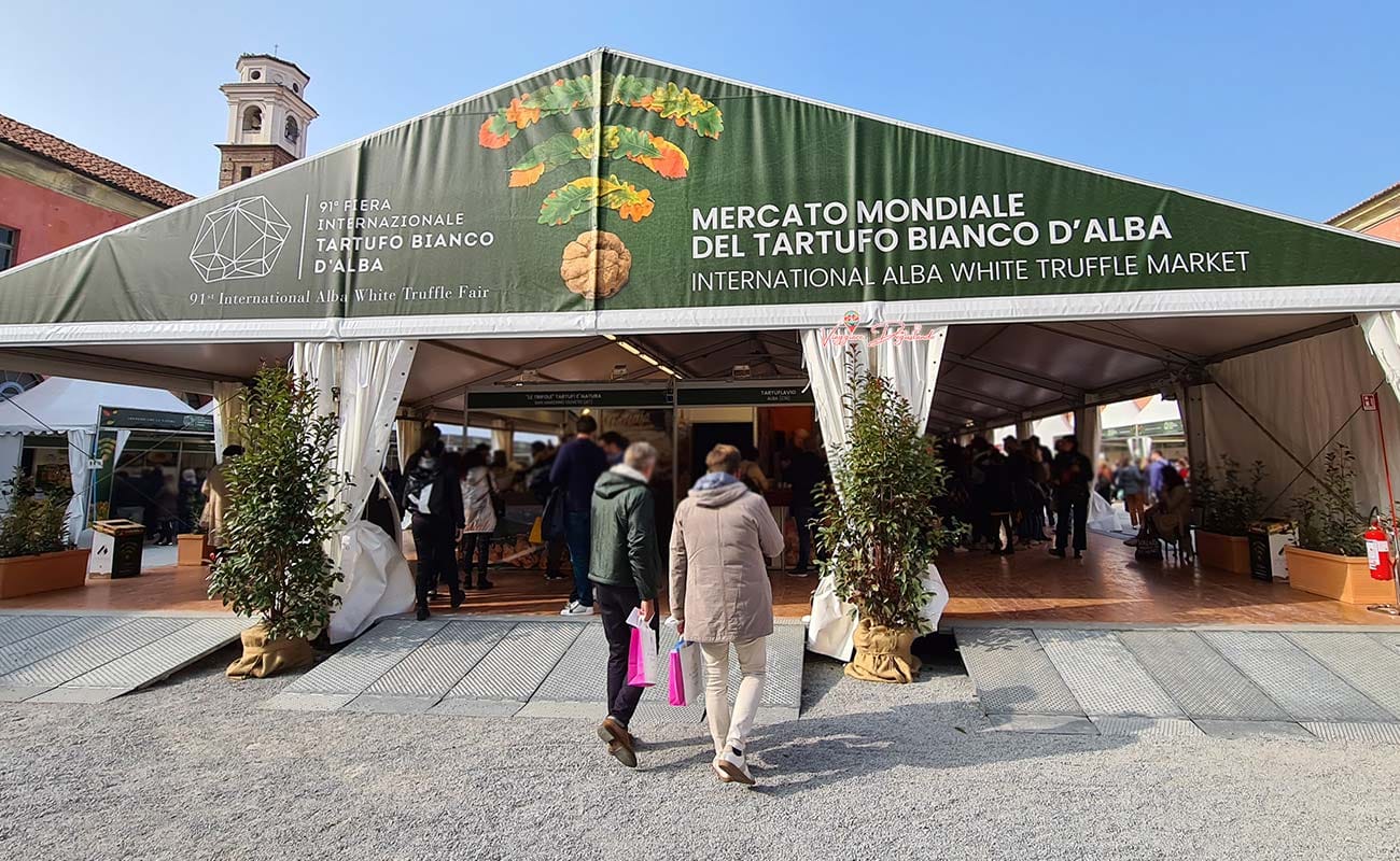 Tour delle Langhe: tra i colori del foliage, degustazioni e la Fiera del Tartufo di Alba 17