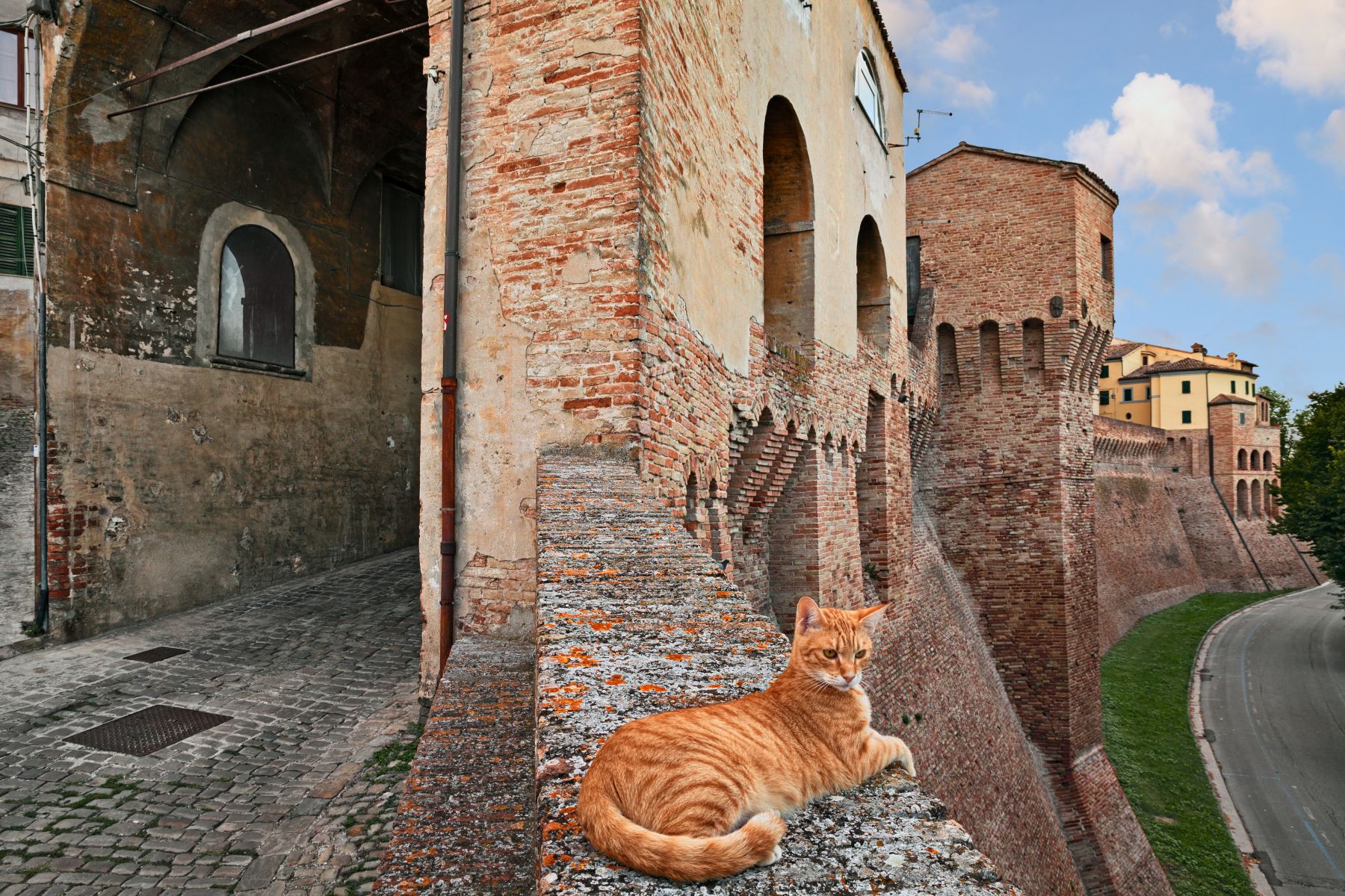 I tesori dei Borghi Marchigiani 15