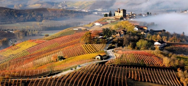 Foliage delle Langhe: Tour dei colori autunnali 2