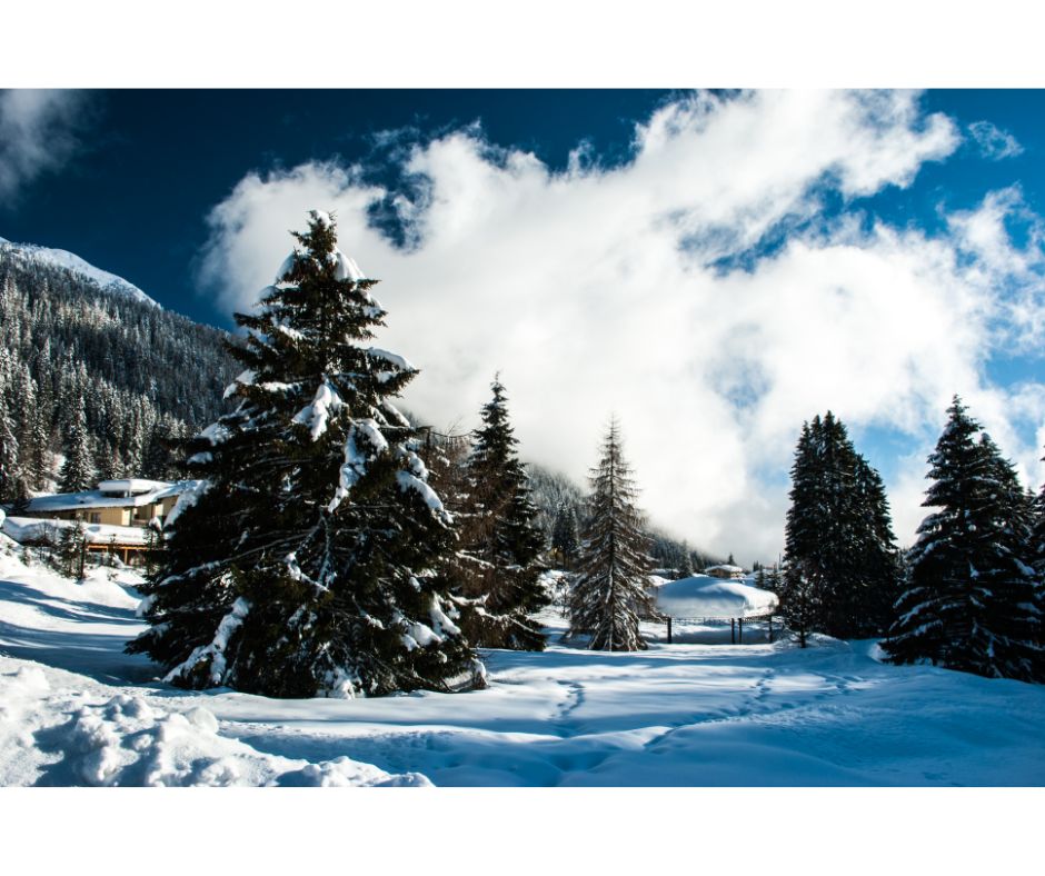 Settimana Bianca nell' Incantevole Pinzolo 2024 TUTTO ESAURITO 3