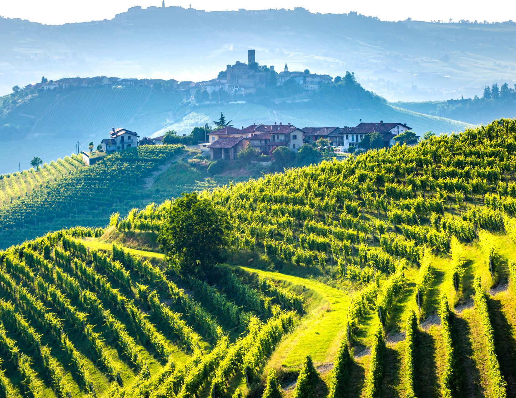 Foliage delle Langhe: Tour dei colori autunnali 9