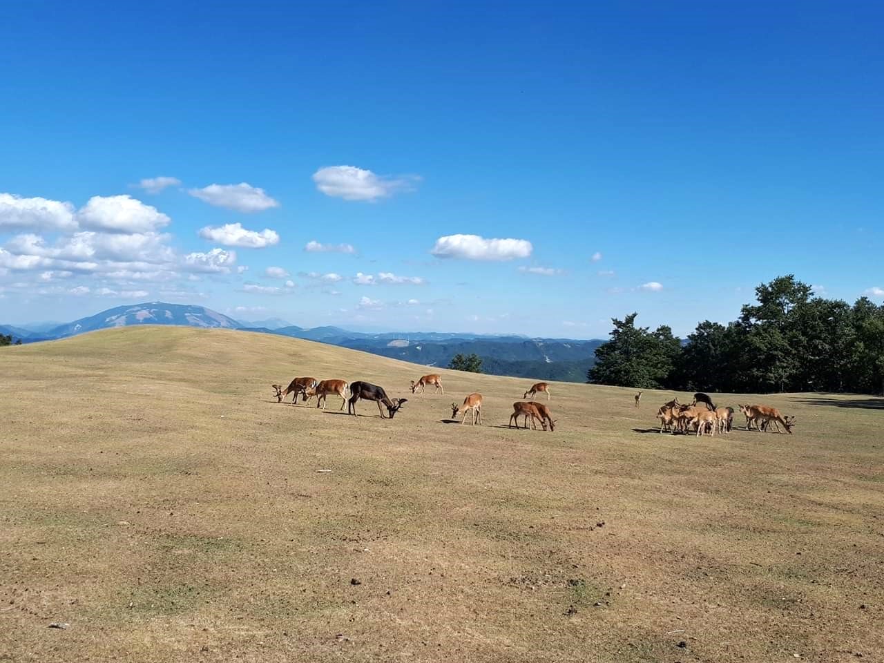 TUTTO INCLUSO ! Settimana verde esperienziale: Emozioni e Scoperte nel Cuore Verde del Montefeltro 12