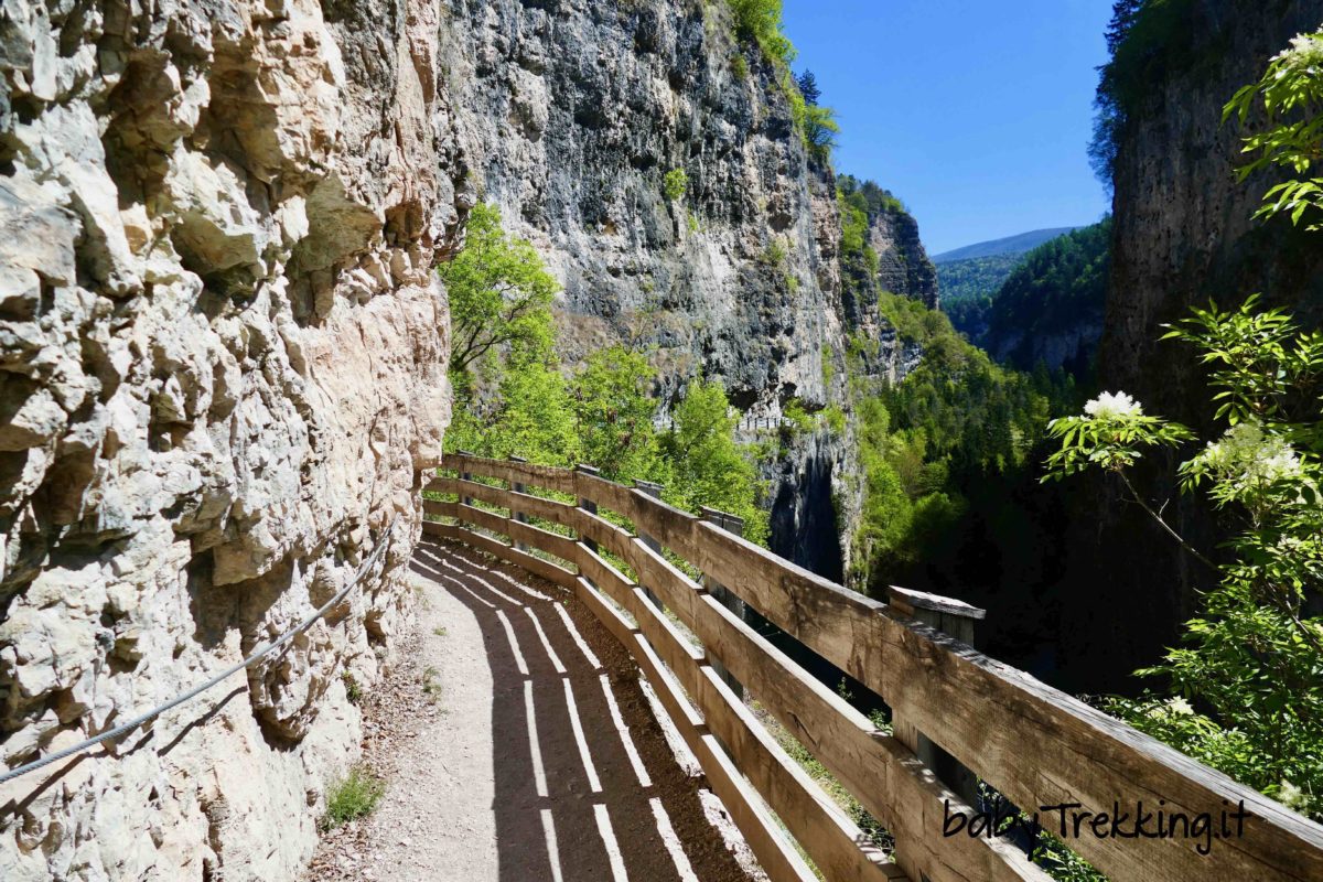La montagna estiva: settimana verde a Pinzolo 14