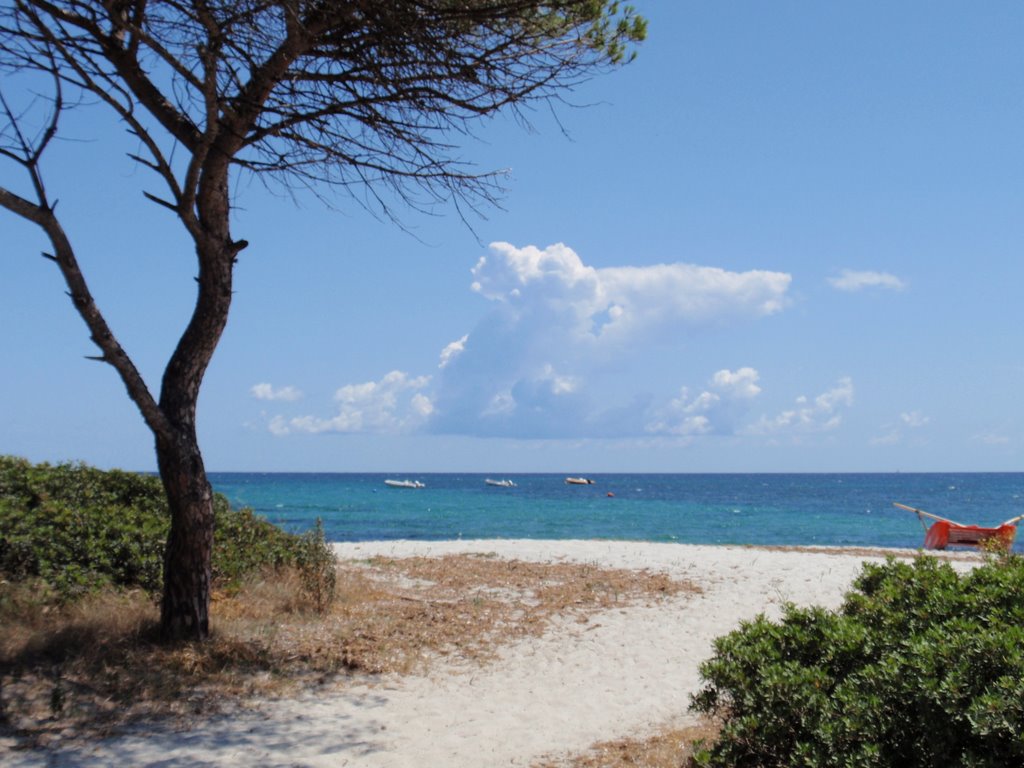 Sardegna di gruppo - Club Hotel Eurovillage- TUTTO ESAURITO 18