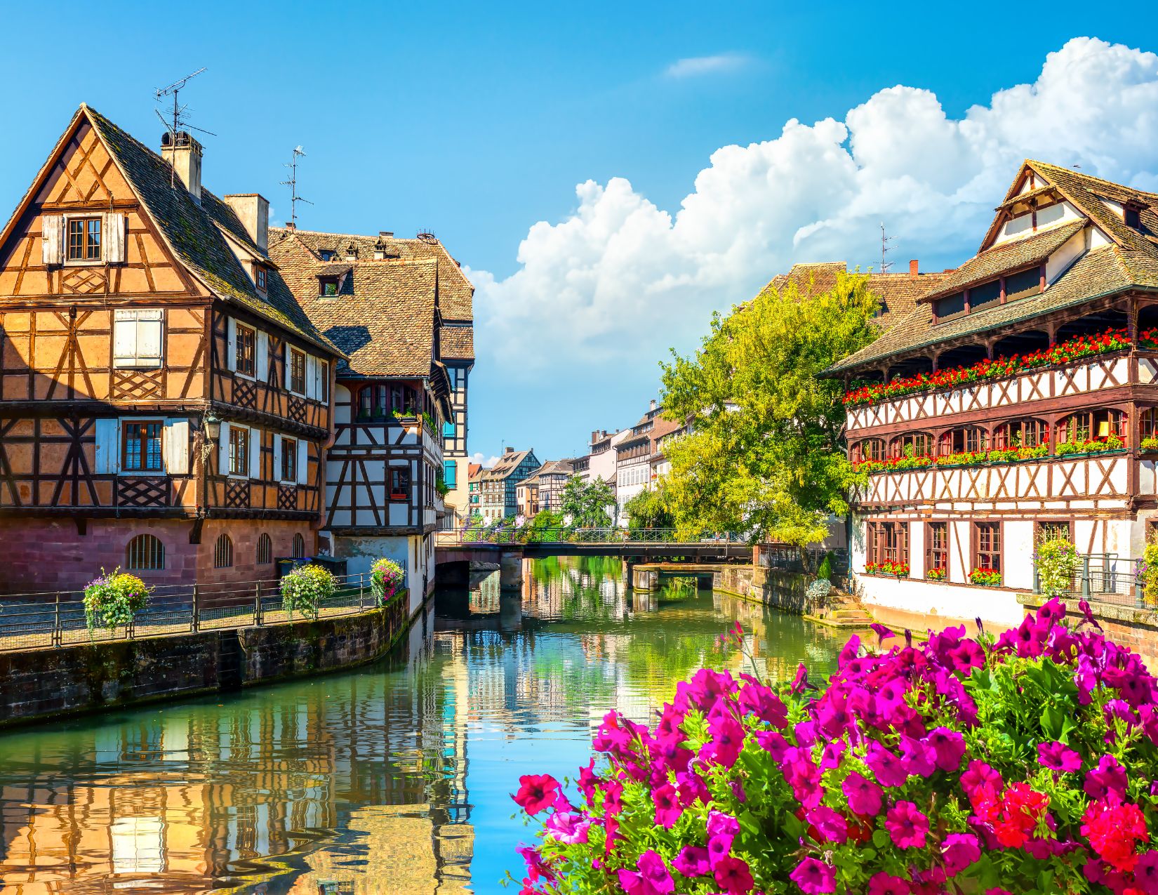 Mainau Island / Bodensee