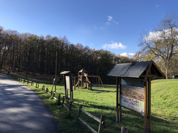 TUTTO INCLUSO ! Settimana verde esperienziale: Emozioni e Scoperte nel Cuore Verde del Montefeltro 15