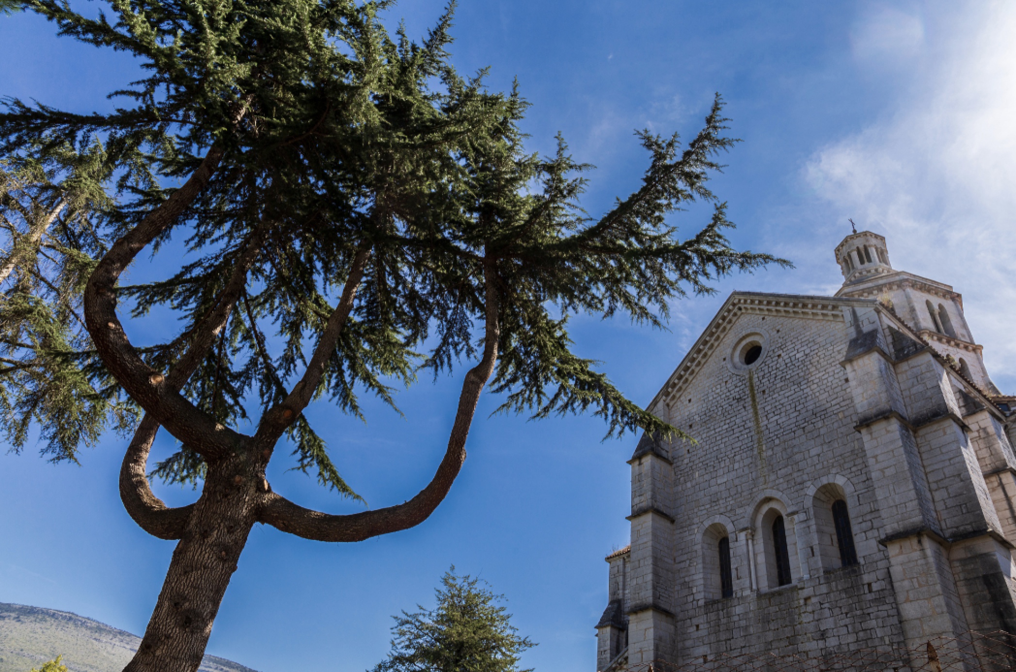 Gli Scorci di Bassiano e il mistero dell'Abbazia di Fossanova 8