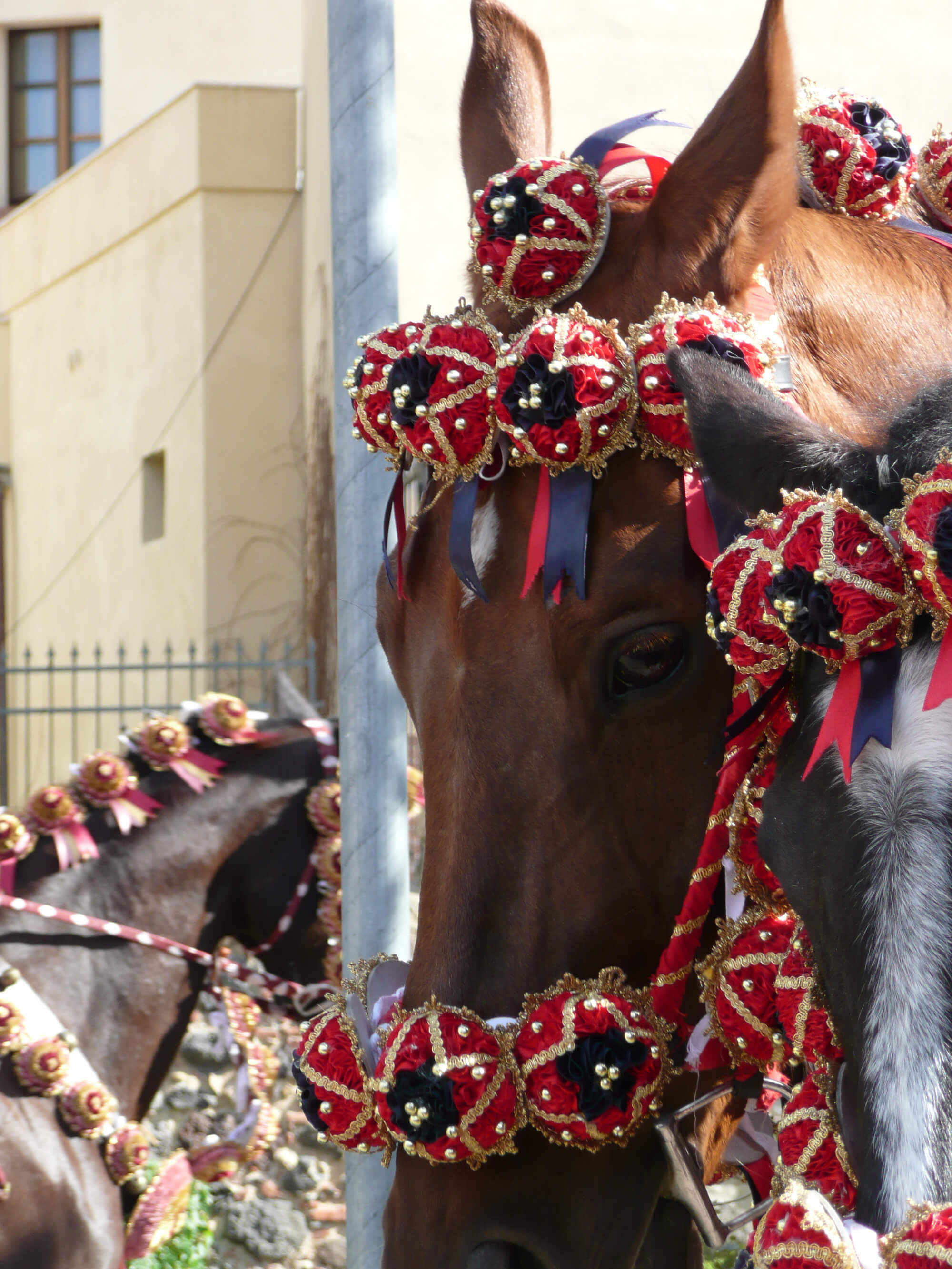 UNA DOMENICA CARNEVALESCA A RONCIGLIONE 6