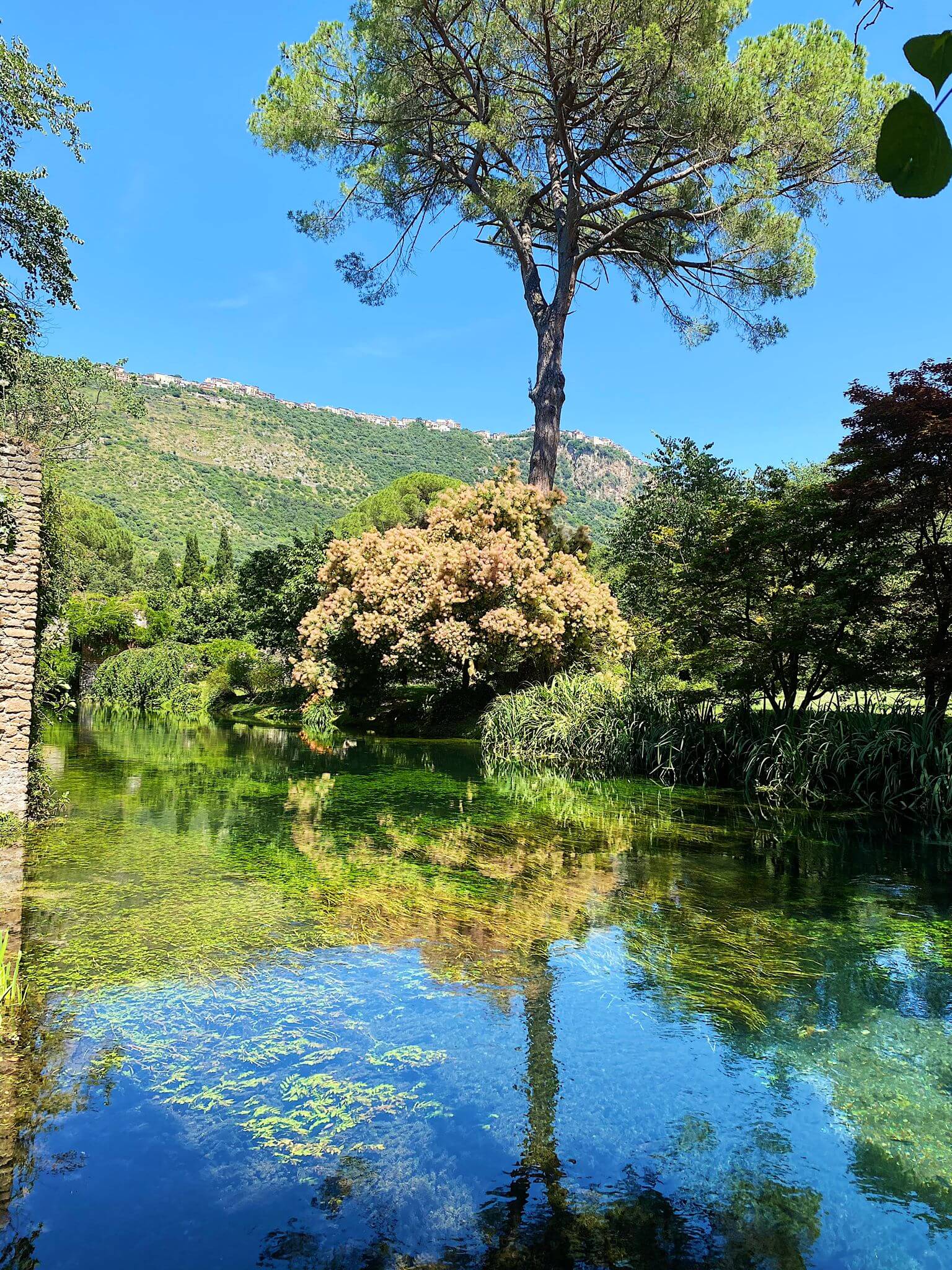 Il Giardino di Ninfa e il Borgo di Sermoneta 17/04 8