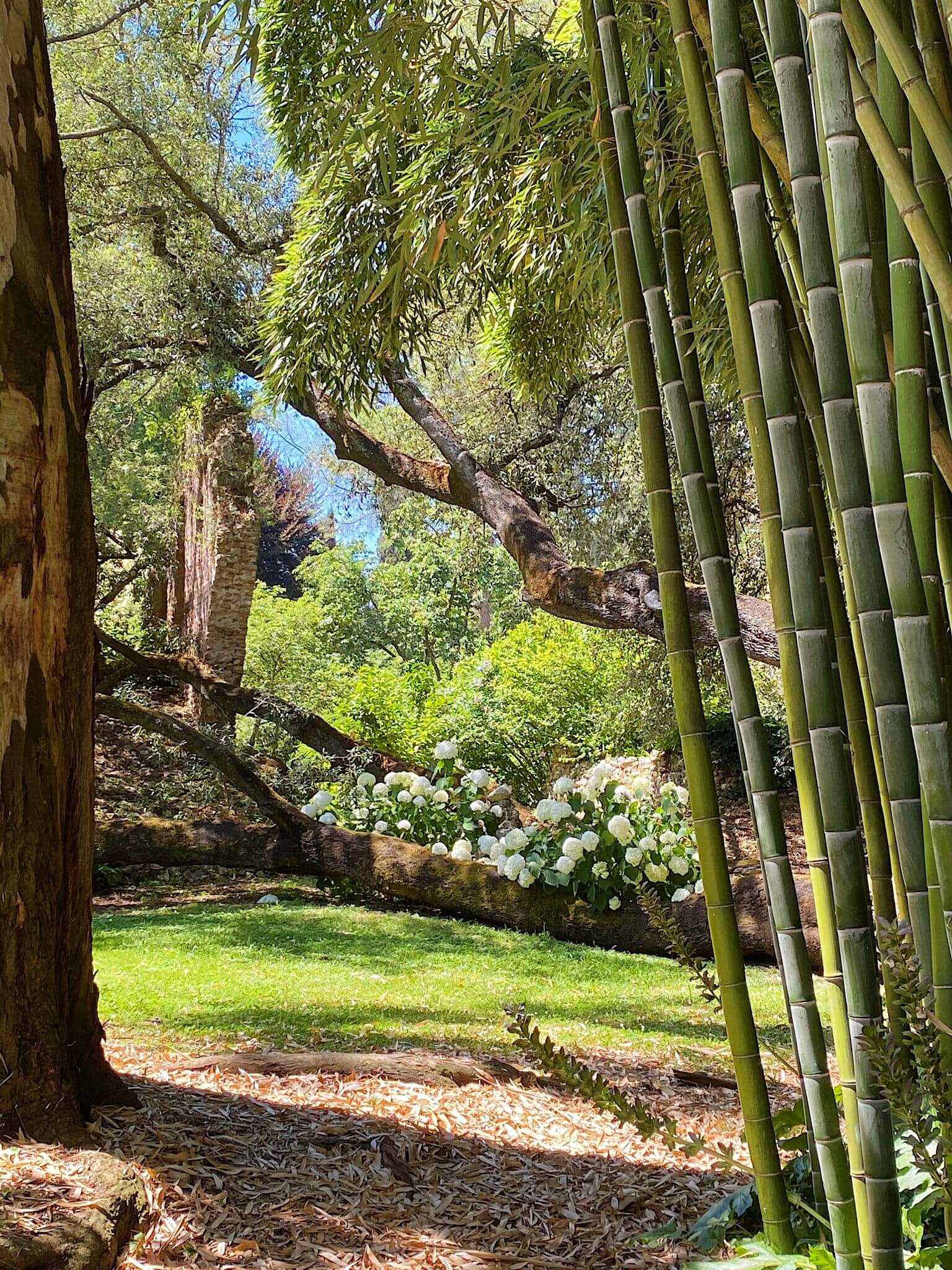 Il Giardino di Ninfa e il Borgo di Sermoneta 17/04 5