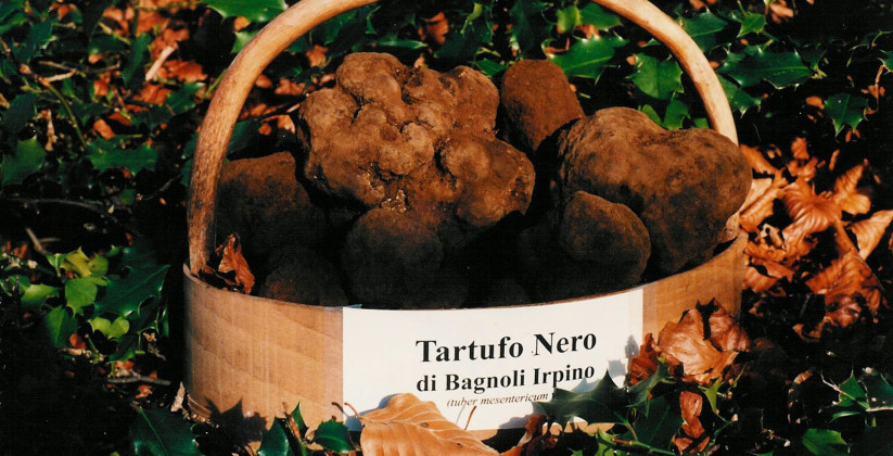 Sagra della Castagna, del Tartufo Nero e del Fungo Porcino 2