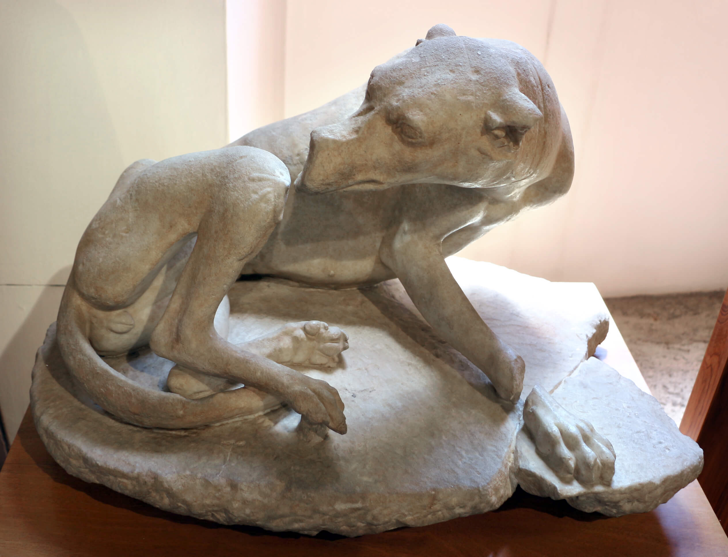 Museo Barracco - Museo di Scultura Antica 2