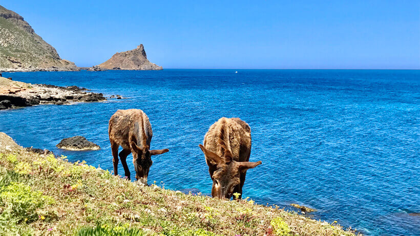 SICILIA OCCIDENTALE & ISOLE EGADI: Tour e soggiorno mare 9