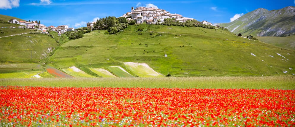 La Fioritura di Castelluccio, Spello, Foligno e Spoleto 18