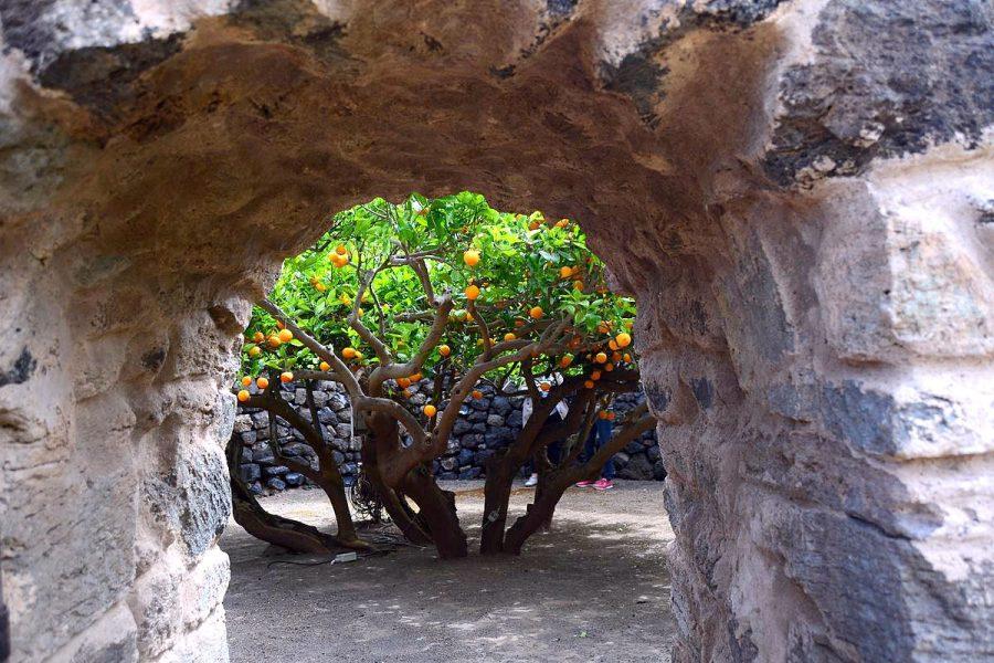 POSTI ESAURITI - SOLO SU RICHIESTA - Isola di Pantelleria 2024: ''La Figlia del Vento'' - Tour Enogastronomico e Soggiorno mare 5