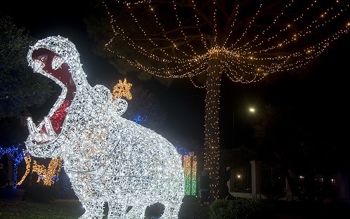Luminarie di Gaeta 8