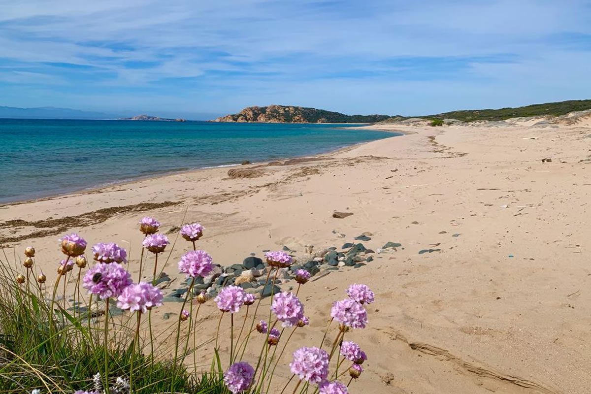 GRUPPO 1 Sardegna Insolita: Tour e Soggiorno Mare 28