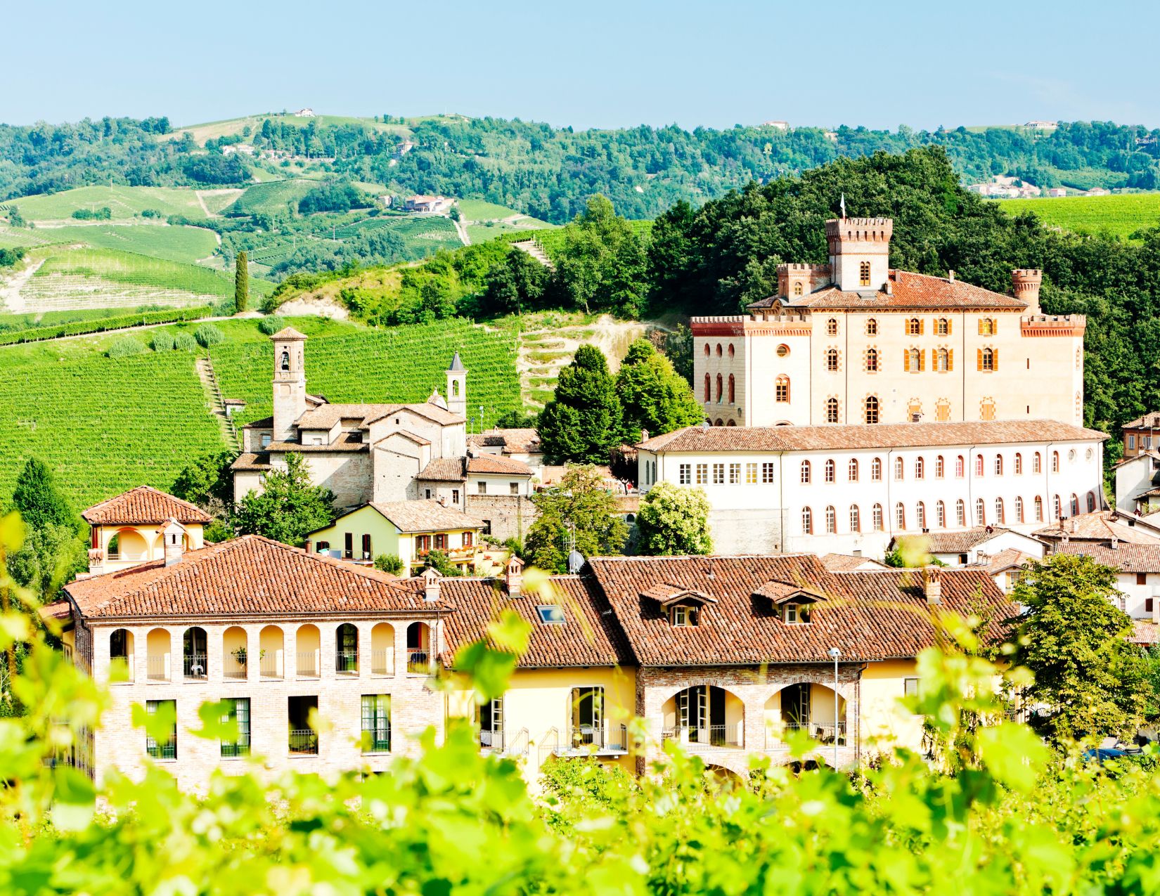 Foliage delle Langhe: Tour dei colori autunnali 12