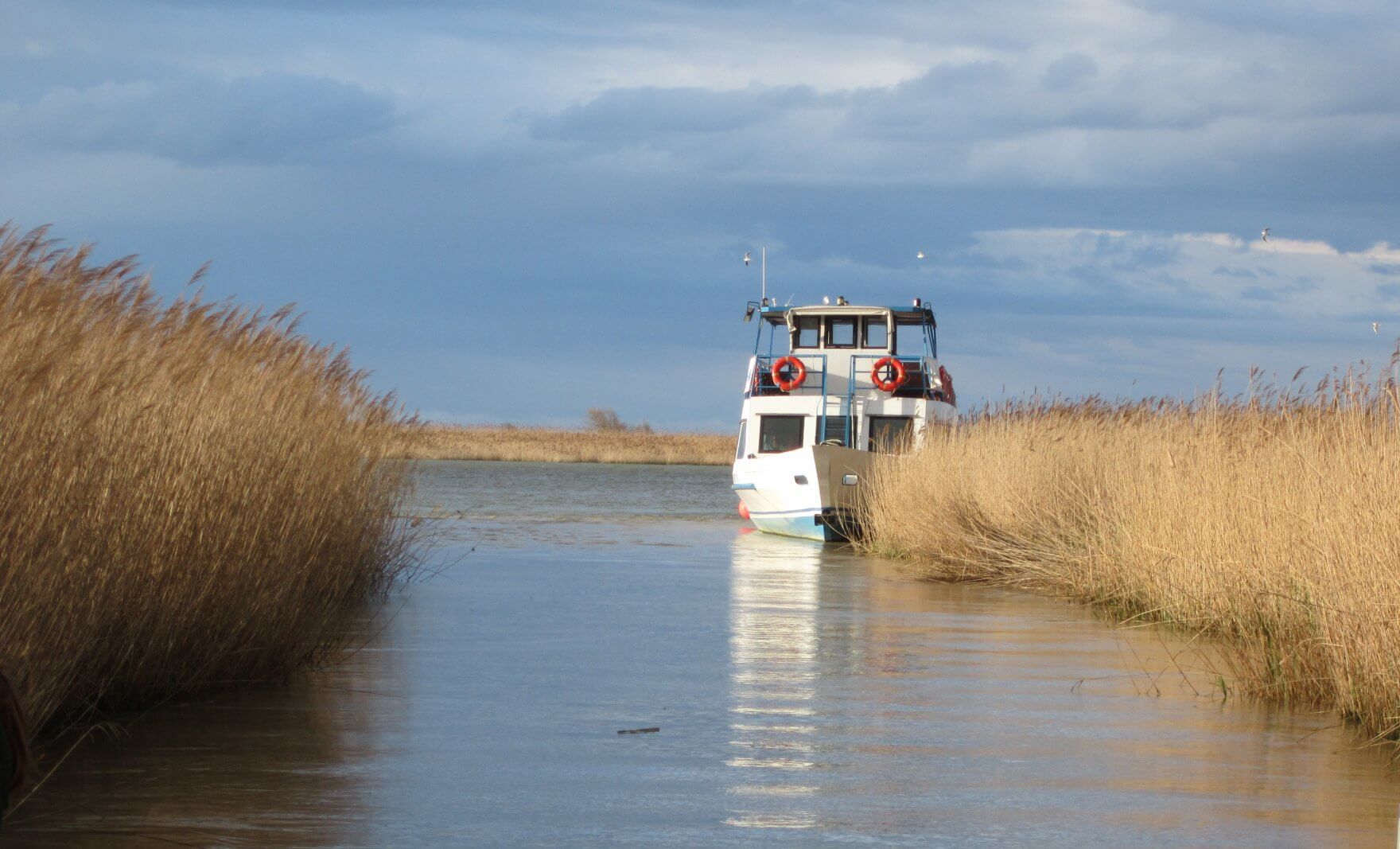 Canali in festa: Il Carnevale sull'acqua di Comacchio e il Delta del Po 5