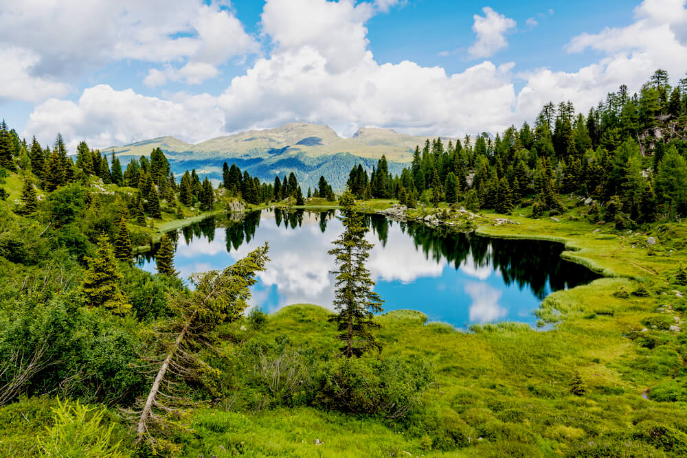 Settimana verde a San Martino di Castrozza 10