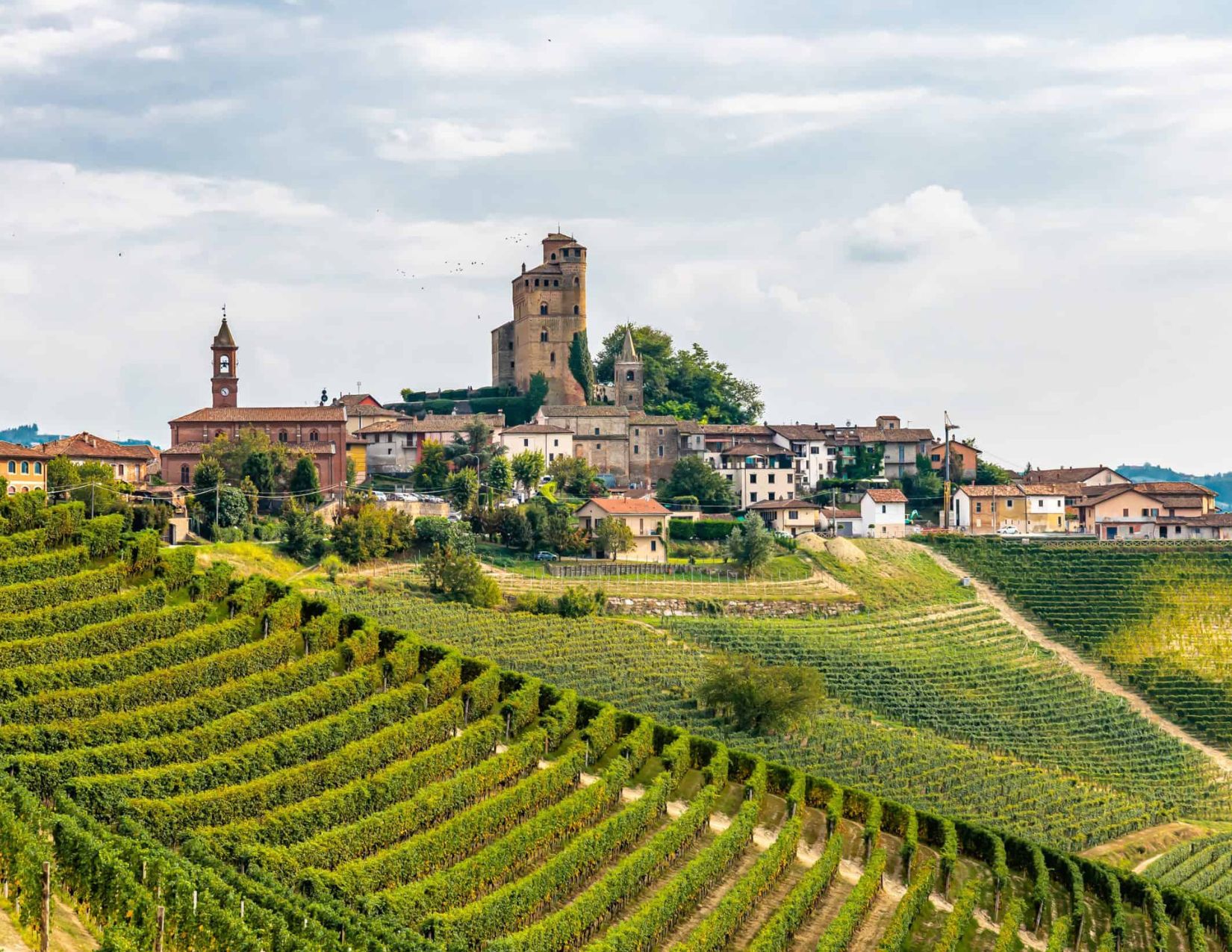Foliage delle Langhe: Tour dei colori autunnali 7