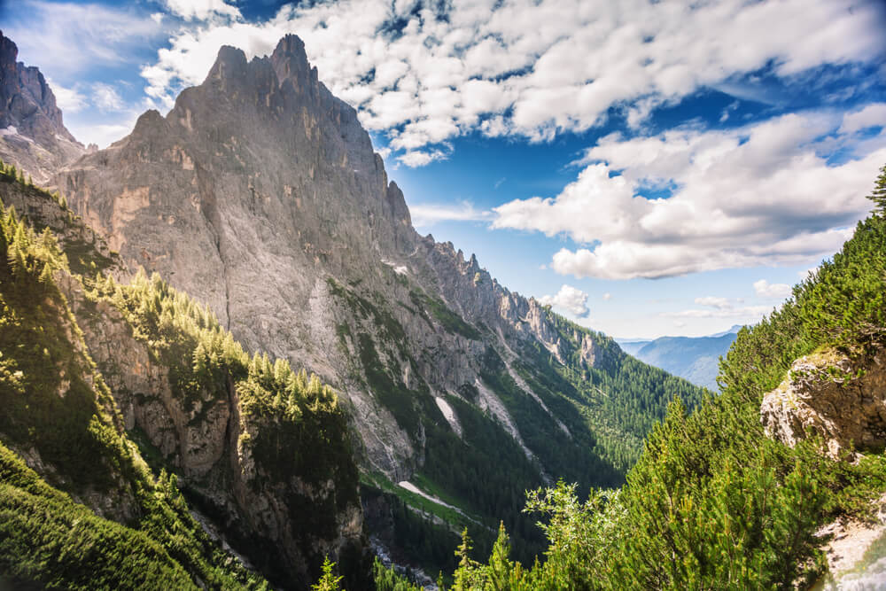 Settimana verde a San Martino di Castrozza 15