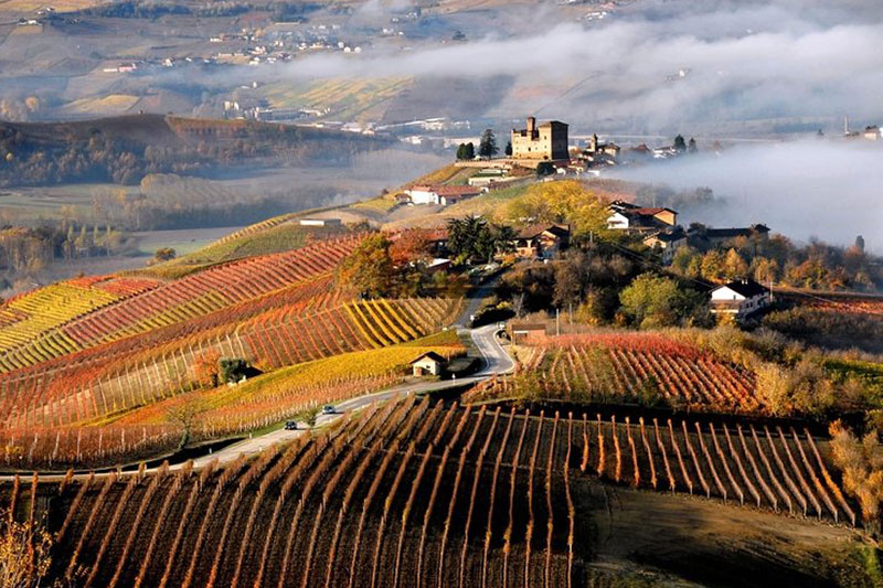 Foliage delle Langhe: Tour dei colori autunnali 3