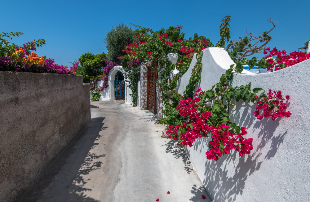 Ischia mon amour a Pasqua 7