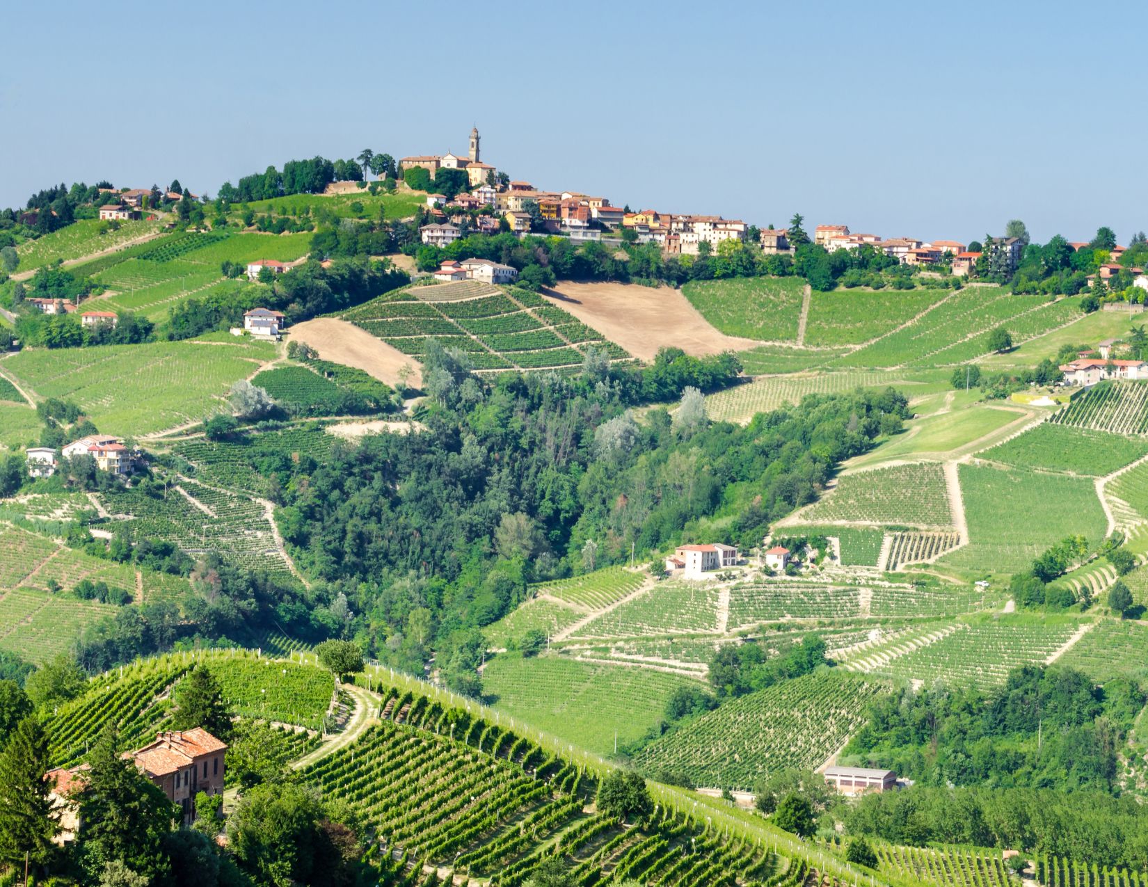 Foliage delle Langhe: Tour dei colori autunnali 10