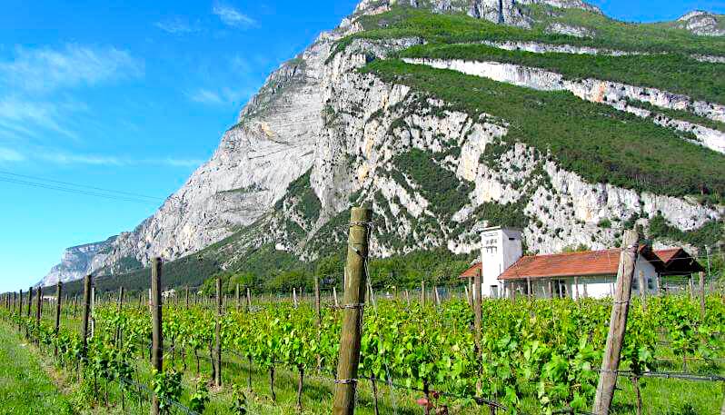 La magia della Primavera tra la Val Pusteria e la suggestiva Valle dei Laghi 27