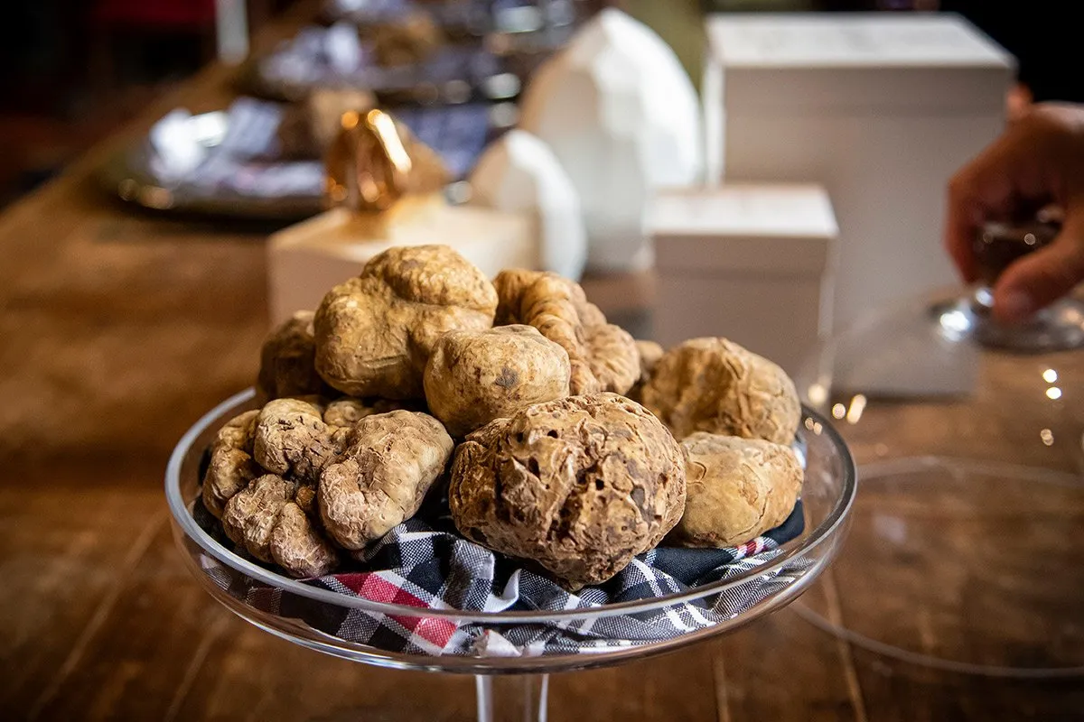 Tour delle Langhe: tra i colori del foliage, degustazioni e la Fiera del Tartufo di Alba 16