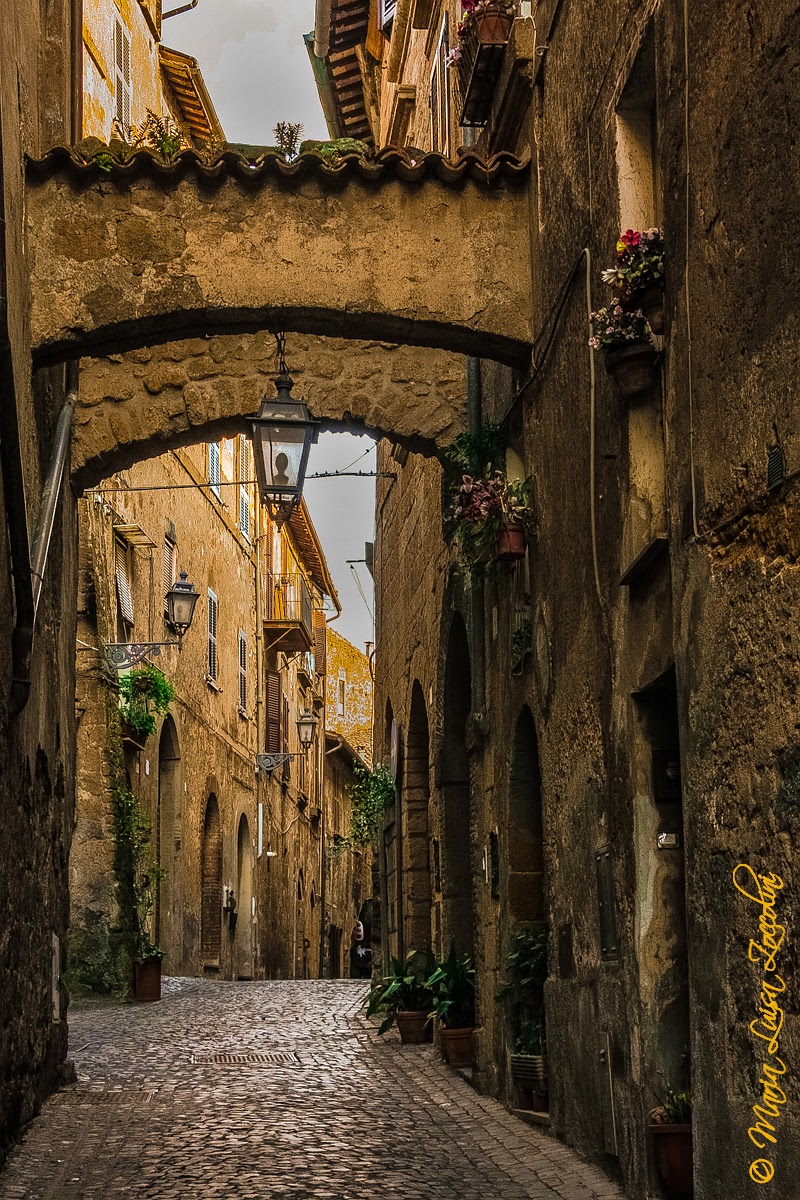 Orvieto e Vitorchiano 13