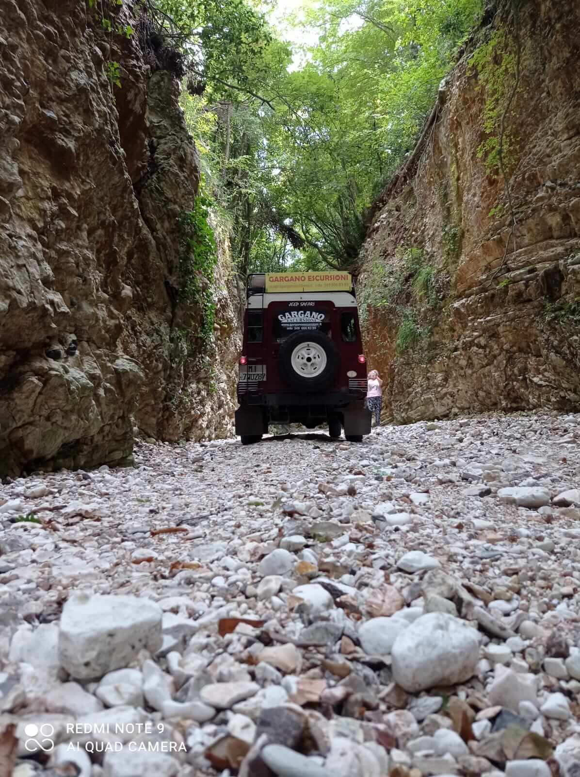 Le Isole Tremiti: Soggiorno relax & avventura 11