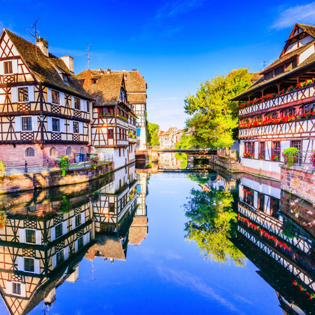 Gran Tour Foresta Nera: Alsazia e Svizzera