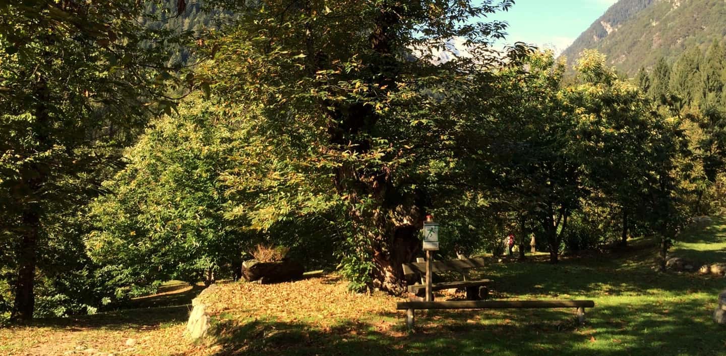 Ultimi Posti! Carpegna, un' esperienza da vivere: alla scoperta dei sapori di montagna. 4