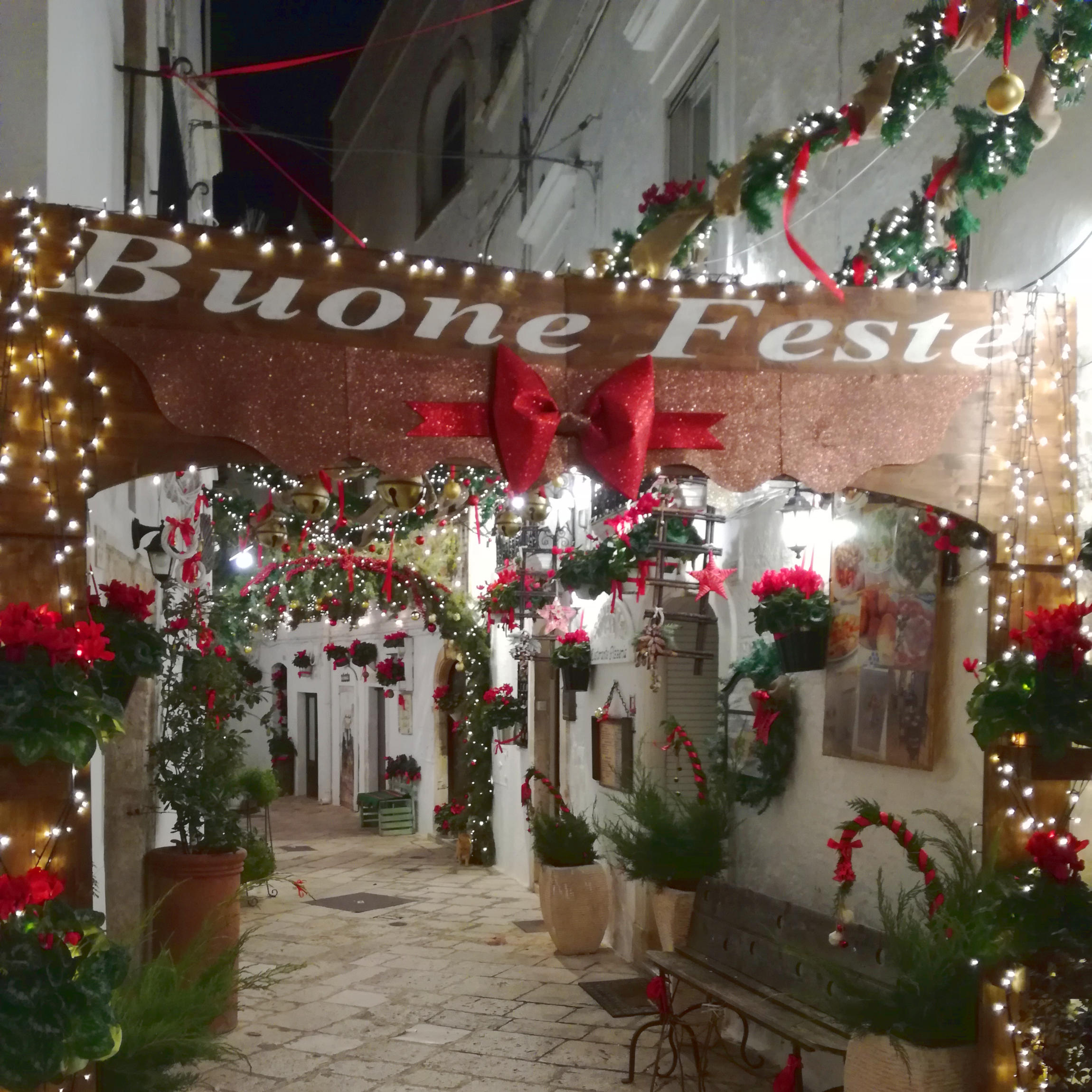 Capodanno insieme: dalle luci di Alberobello al Presepe vivente di Matera - TUTTO ESAURITO 13
