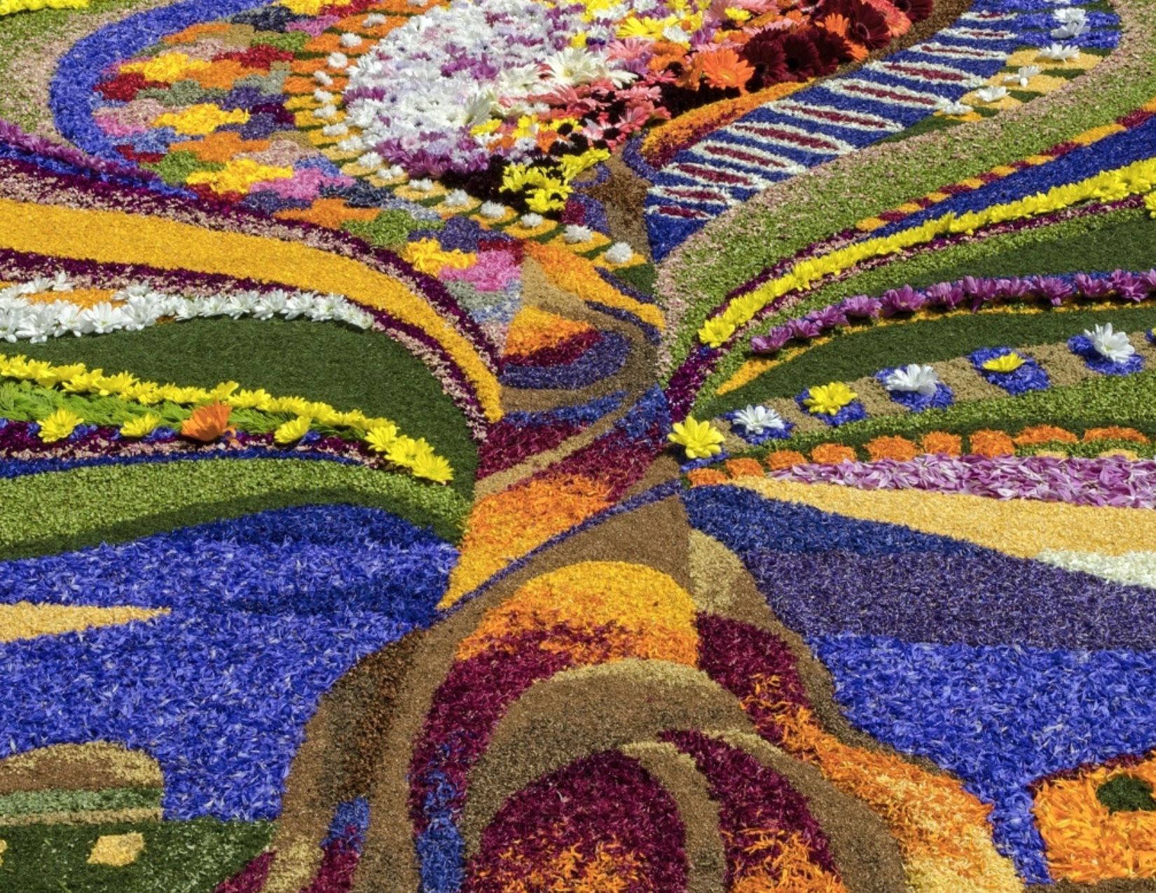Infiorata di Spello / Rasiglia
