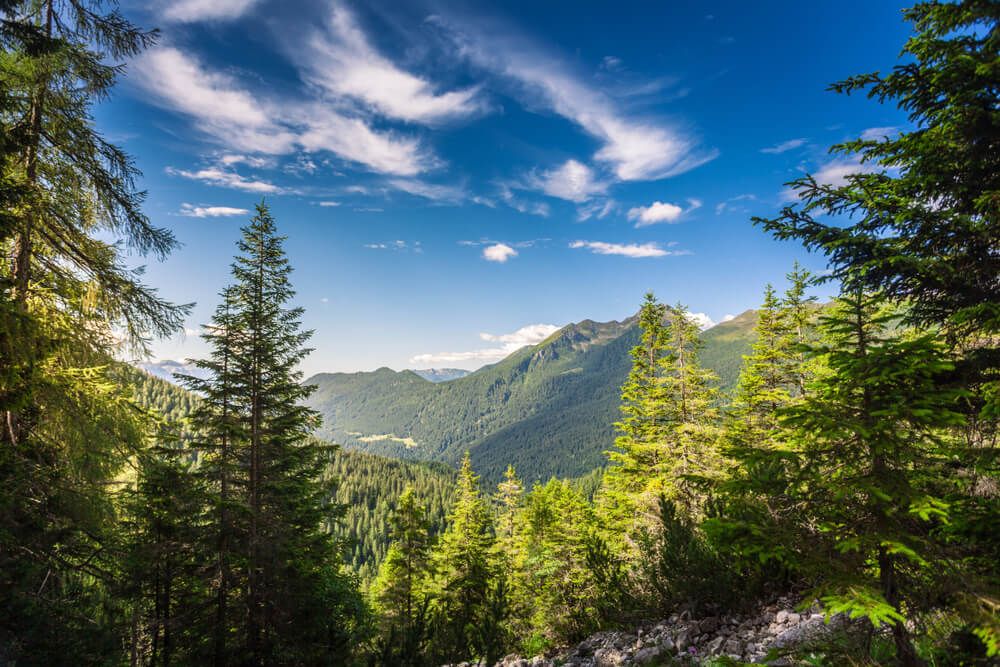 Settimana verde a San Martino di Castrozza 13