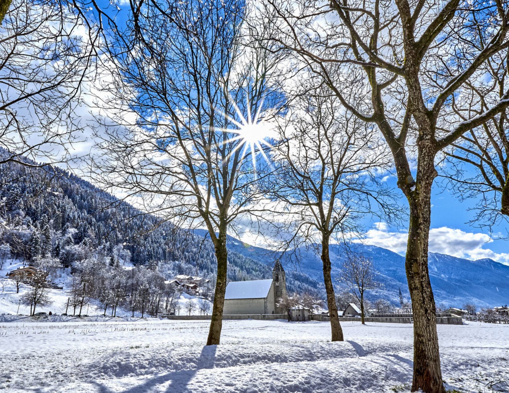 La montagna estiva: settimana verde a Pinzolo 6