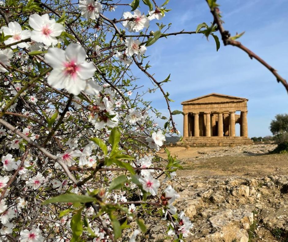 La Festa del Mandorlo in Fiore nella Valle dei Templi e i Tesori Siciliani 9